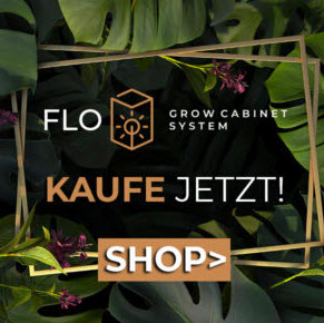 Growboxen zur Indoor-Pflanzenzucht