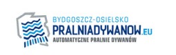 pranie dywanów Chojnice